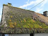 Altes Dach, schon mit Moos bedeckt
