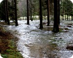 Hochwasser Januar 2011 - Zusammenfluss von Fuhrts- und Perlenbach
